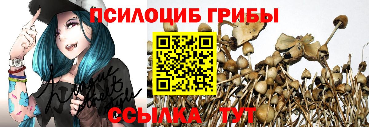 Псилоцибиновые грибы Cubensis  Галлюциногенные грибы прущие грибы  Анапа  Вход с VPN 